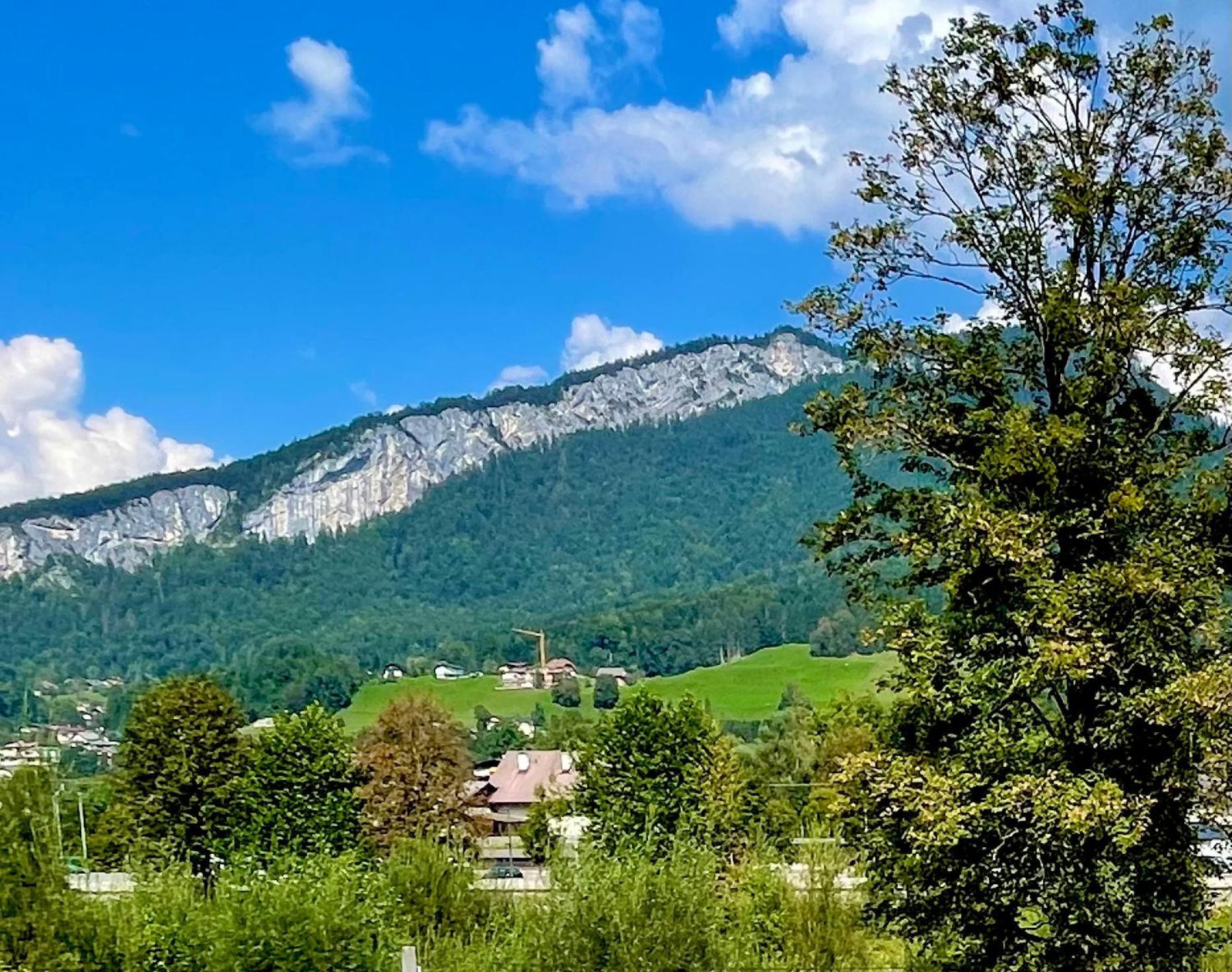 Mitzis Stubn Apartments - Bad Goisern - 24-Hour Self Check-In Εξωτερικό φωτογραφία
